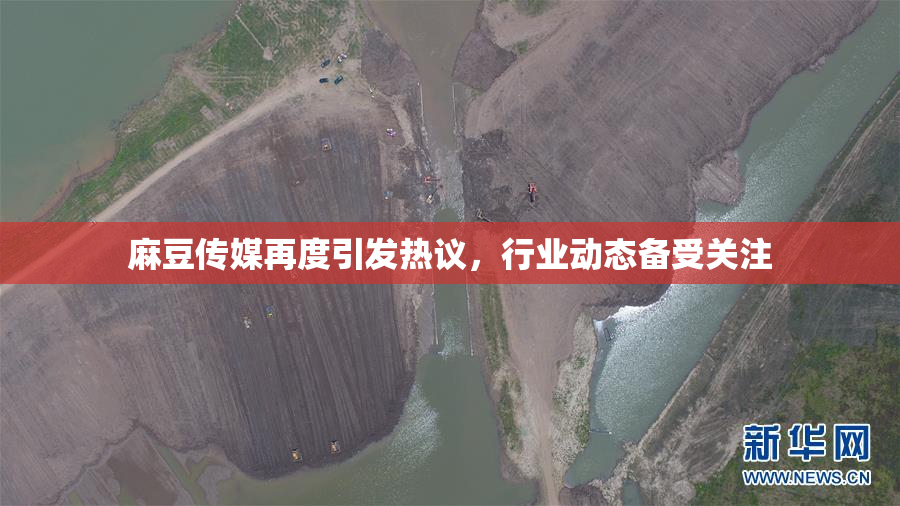 麻豆传媒再度引发热议，行业动态备受关注