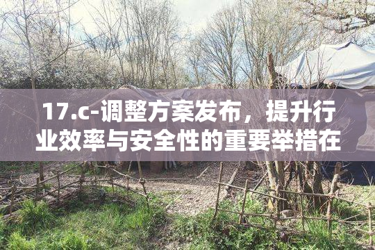17.c-调整方案发布，提升行业效率与安全性的重要举措在等待落实。