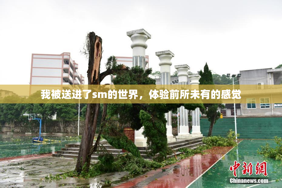 我被送进了sm的世界，体验前所未有的感觉