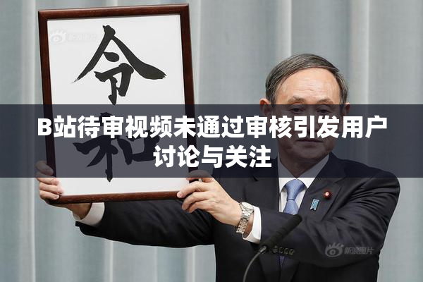 B站待审视频未通过审核引发用户讨论与关注