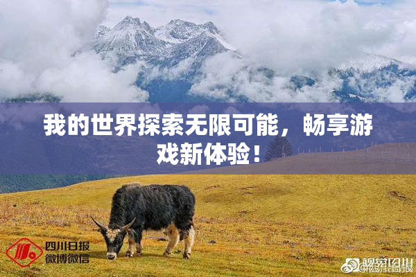 我的世界探索无限可能，畅享游戏新体验！