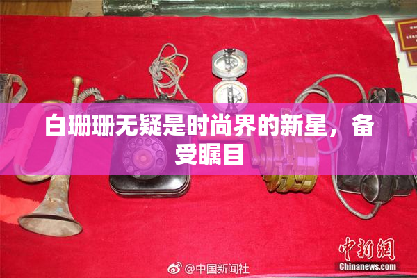 白珊珊无疑是时尚界的新星，备受瞩目