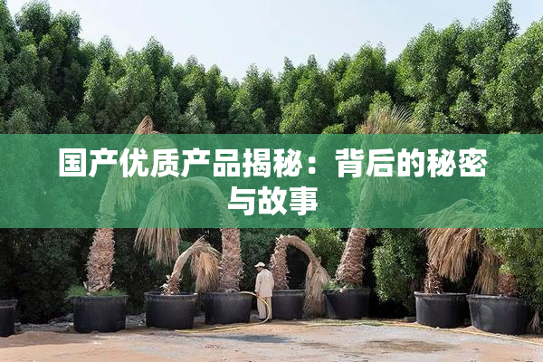国产优质产品揭秘：背后的秘密与故事