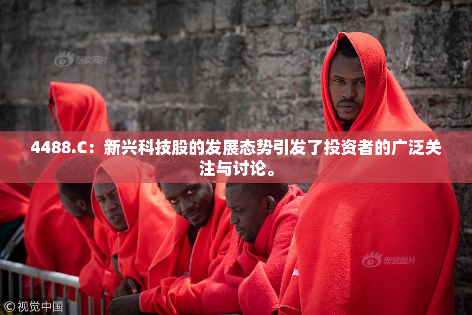 4488.C：新兴科技股的发展态势引发了投资者的广泛关注与讨论。