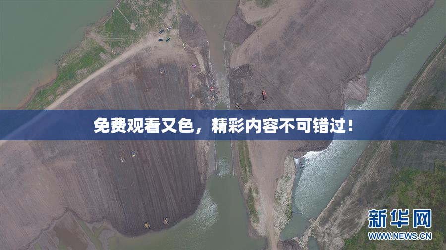 免费观看又色，精彩内容不可错过！