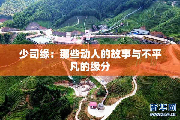 少司缘：那些动人的故事与不平凡的缘分