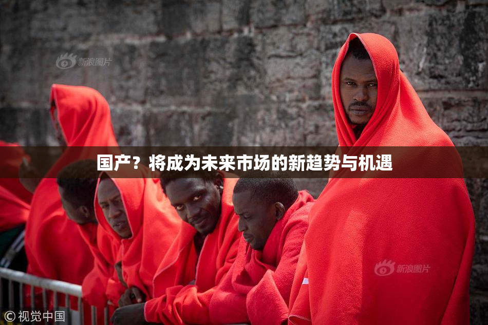 国产？将成为未来市场的新趋势与机遇