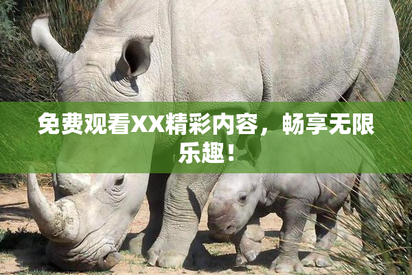 免费观看XX精彩内容，畅享无限乐趣！