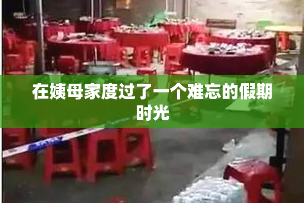 在姨母家度过了一个难忘的假期时光