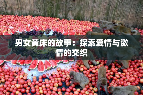 男女黄床的故事：探索爱情与激情的交织