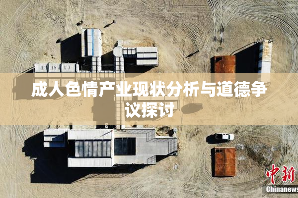 成人色情产业现状分析与道德争议探讨