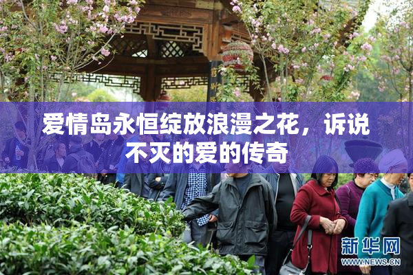 爱情岛永恒绽放浪漫之花，诉说不灭的爱的传奇