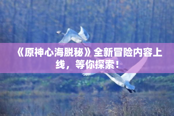 《原神心海脱秘》全新冒险内容上线，等你探索！