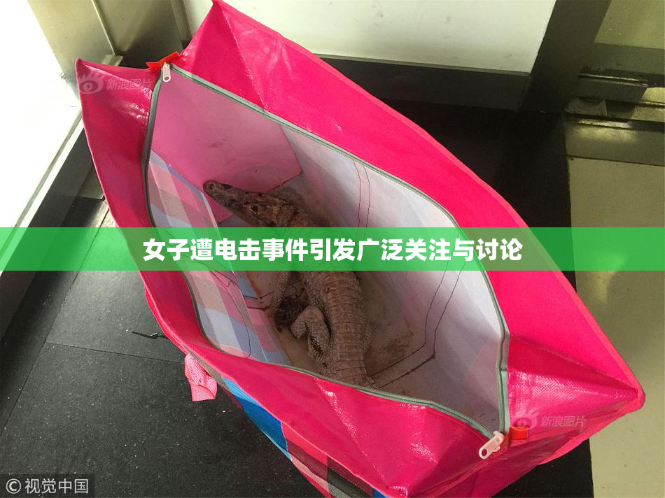 女子遭电击事件引发广泛关注与讨论