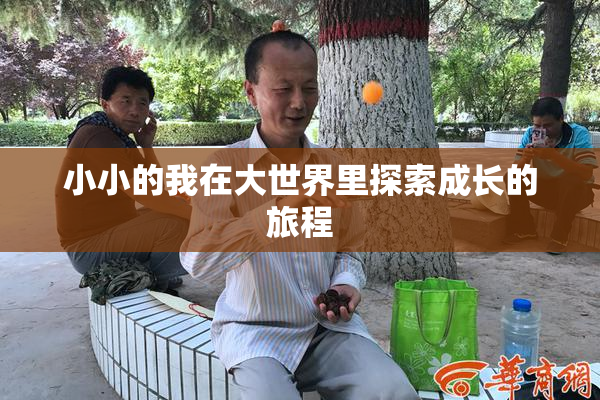 小小的我在大世界里探索成长的旅程