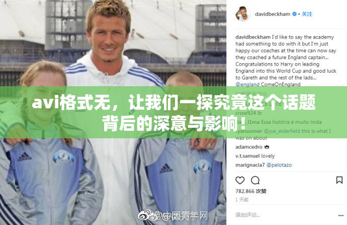 avi格式无，让我们一探究竟这个话题背后的深意与影响！