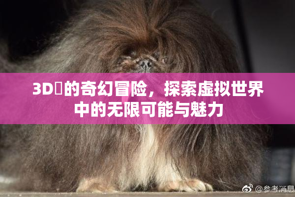 3D姉的奇幻冒险，探索虚拟世界中的无限可能与魅力