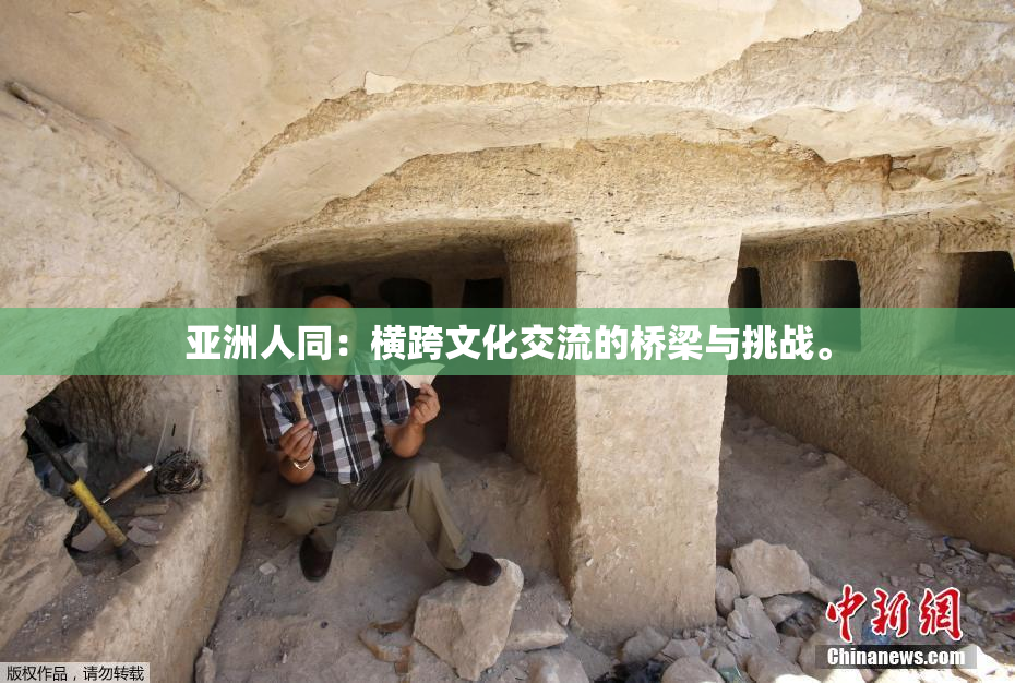 亚洲人同：横跨文化交流的桥梁与挑战。