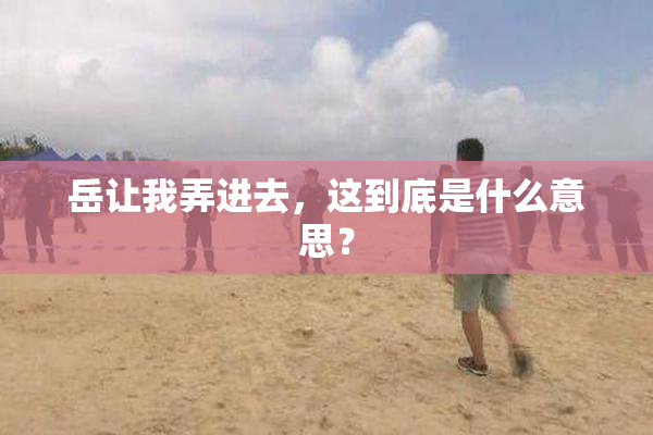 岳让我弄进去，这到底是什么意思？