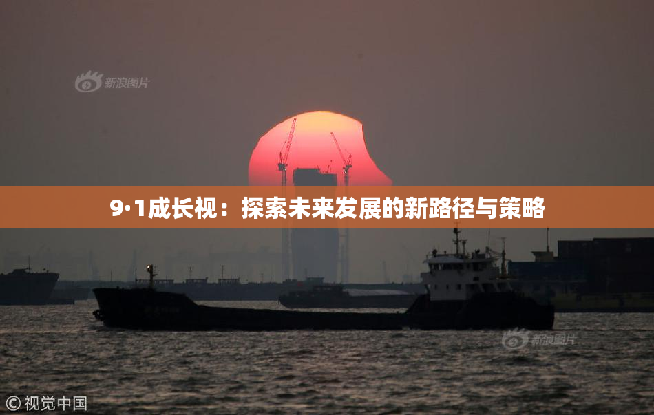 9·1成长视：探索未来发展的新路径与策略