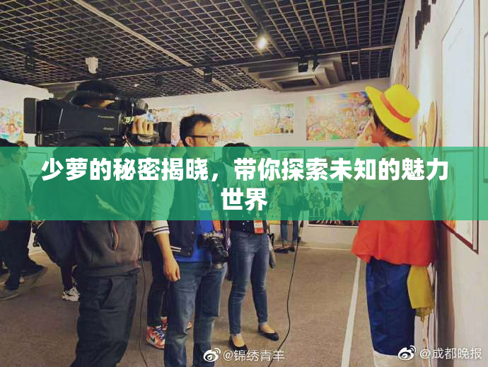 少萝的秘密揭晓，带你探索未知的魅力世界