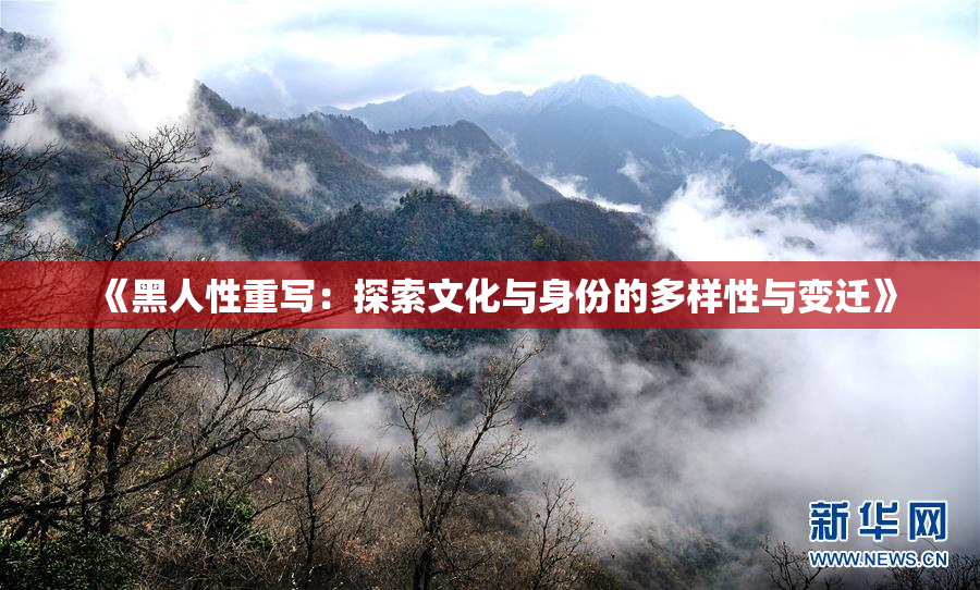 《黑人性重写：探索文化与身份的多样性与变迁》