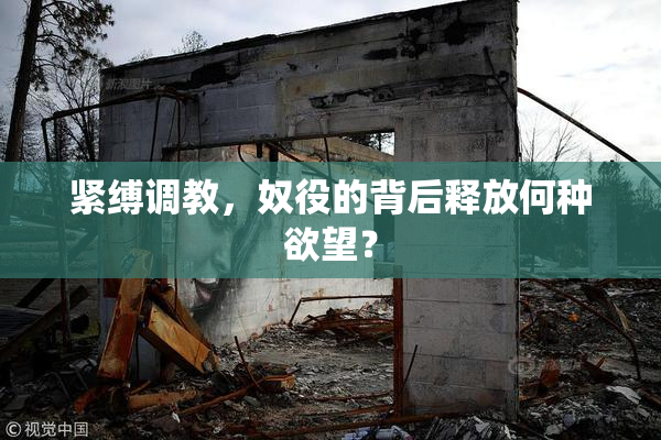 紧缚调教，奴役的背后释放何种欲望？