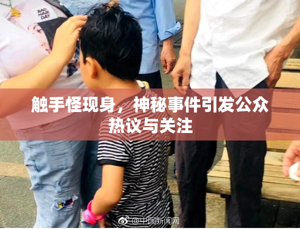 触手怪现身，神秘事件引发公众热议与关注