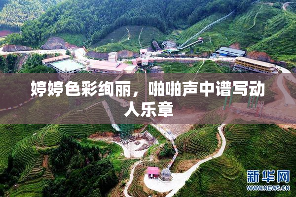 婷婷色彩绚丽，啪啪声中谱写动人乐章