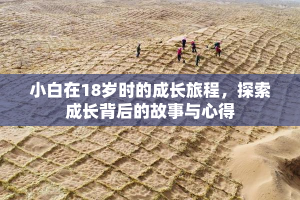小白在18岁时的成长旅程，探索成长背后的故事与心得
