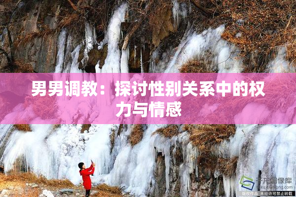 男男调教：探讨性别关系中的权力与情感