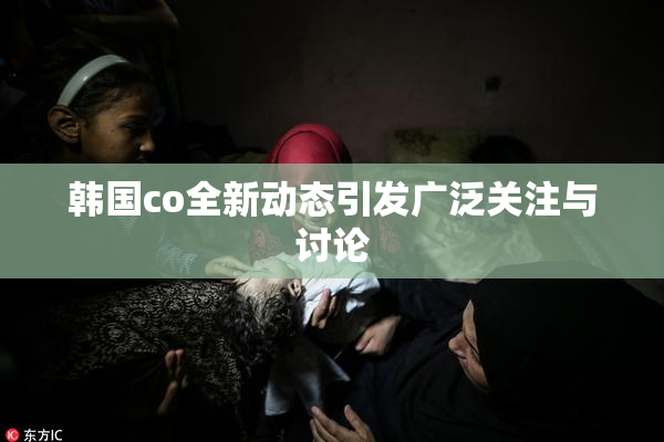 韩国co全新动态引发广泛关注与讨论