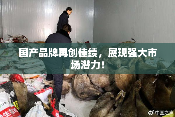 国产品牌再创佳绩，展现强大市场潜力！