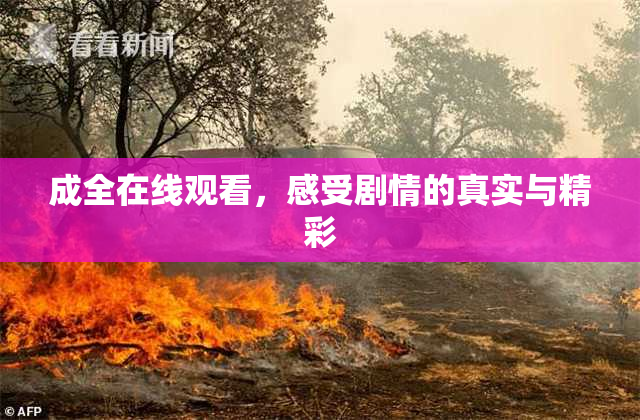 成全在线观看，感受剧情的真实与精彩