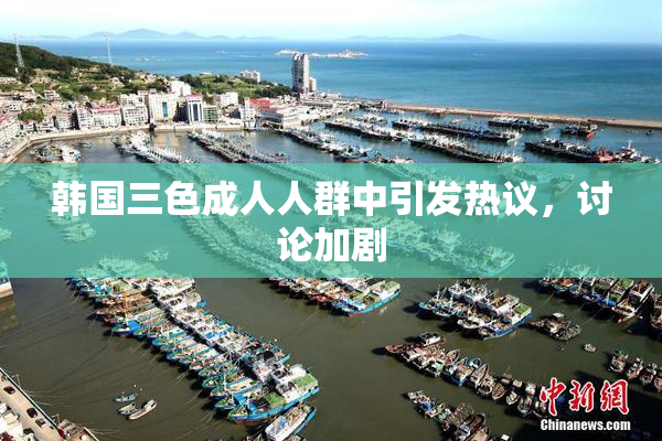 韩国三色成人人群中引发热议，讨论加剧
