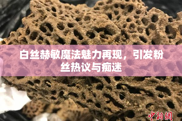 白丝赫敏魔法魅力再现，引发粉丝热议与痴迷