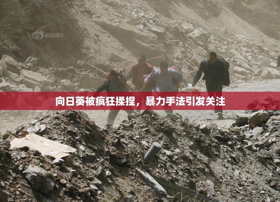 向日葵被疯狂揉捏，暴力手法引发关注