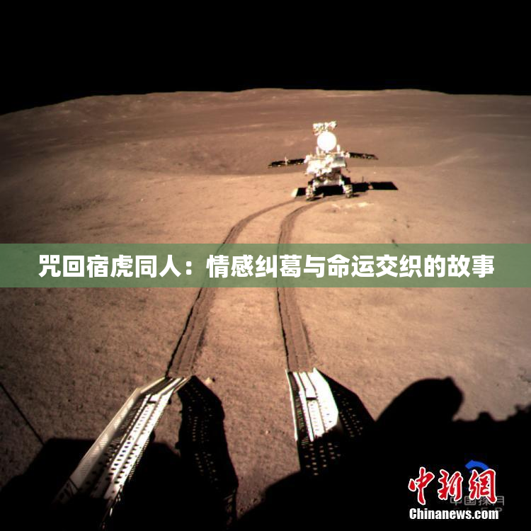 咒回宿虎同人：情感纠葛与命运交织的故事