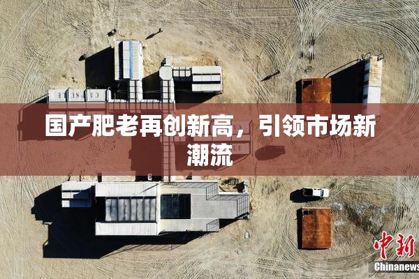 国产肥老再创新高，引领市场新潮流