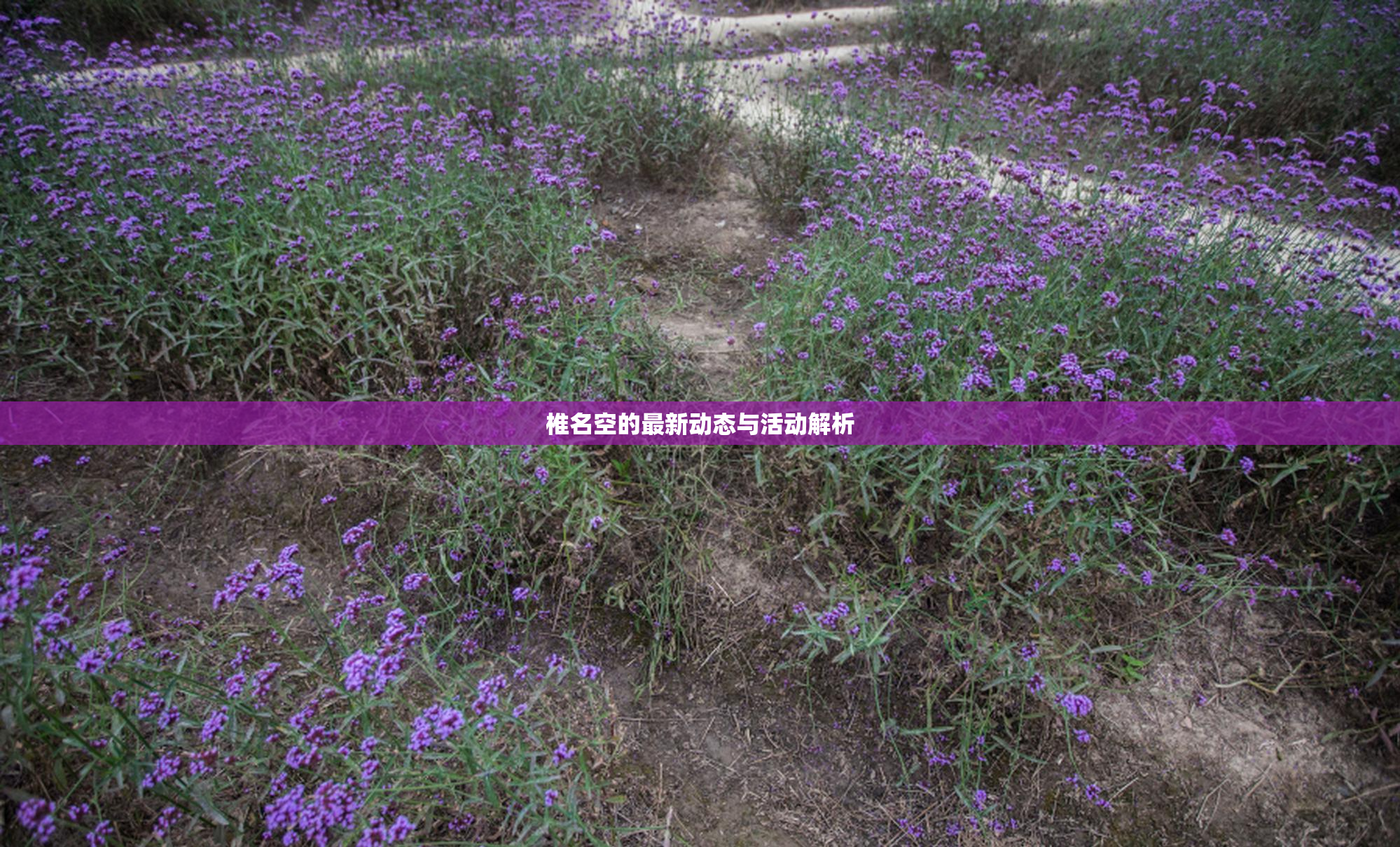椎名空的最新动态与活动解析