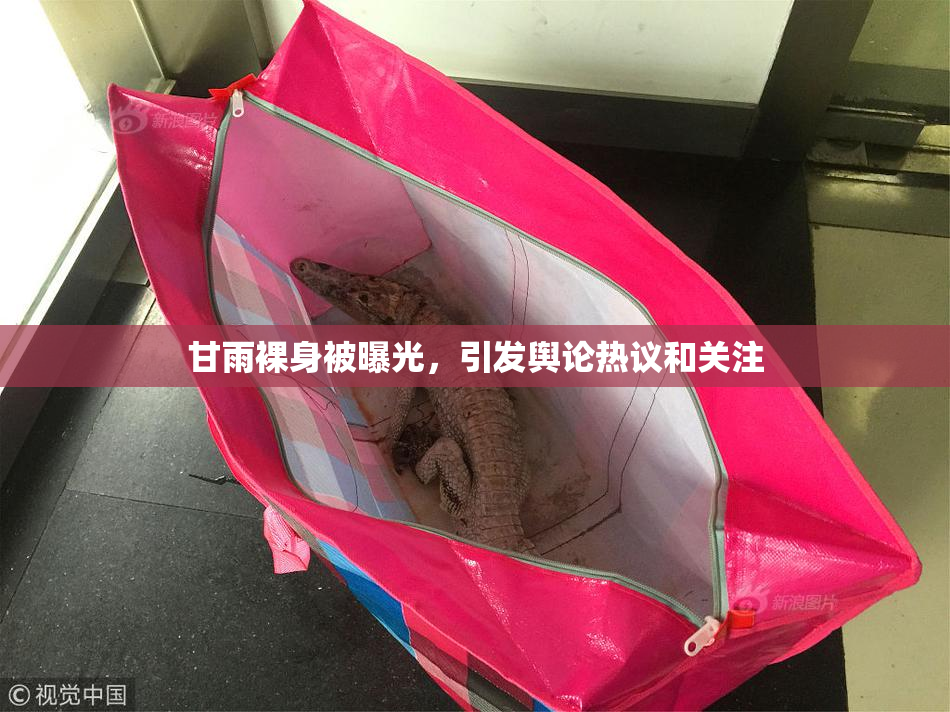 甘雨裸身被曝光，引发舆论热议和关注