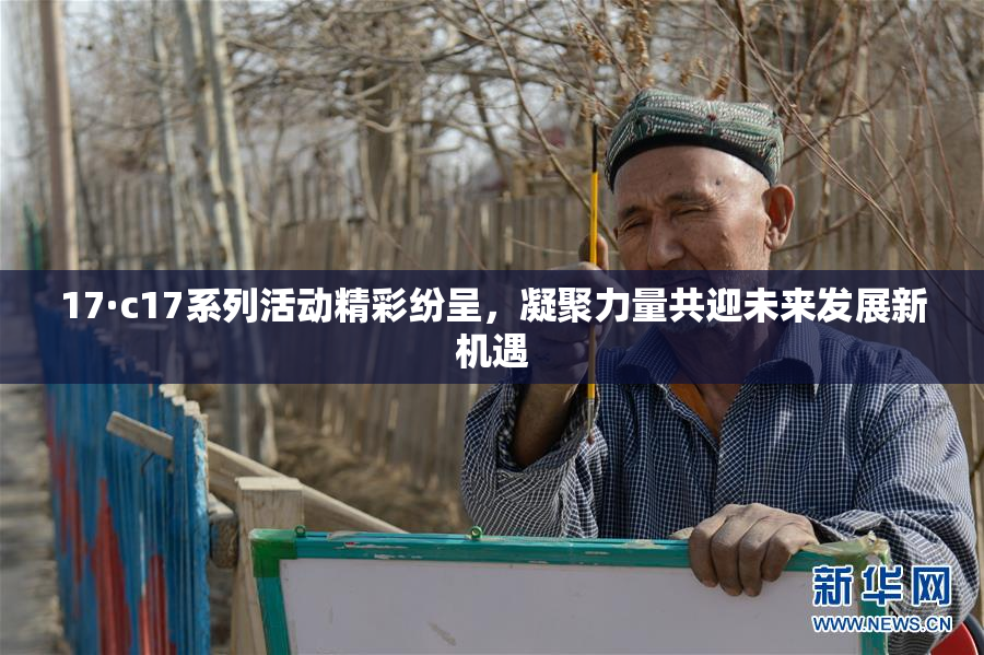 17·c17系列活动精彩纷呈，凝聚力量共迎未来发展新机遇
