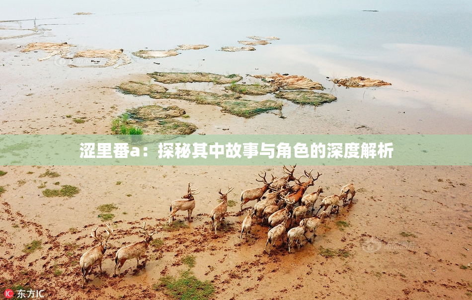 涩里番a：探秘其中故事与角色的深度解析