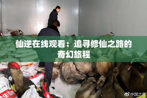 仙逆在线观看：追寻修仙之路的奇幻旅程