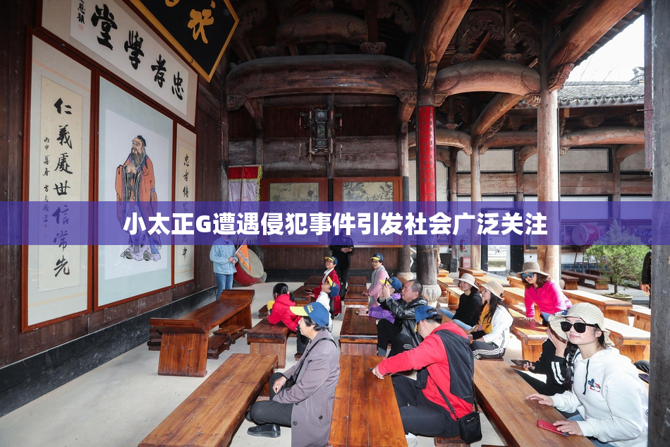 小太正G遭遇侵犯事件引发社会广泛关注