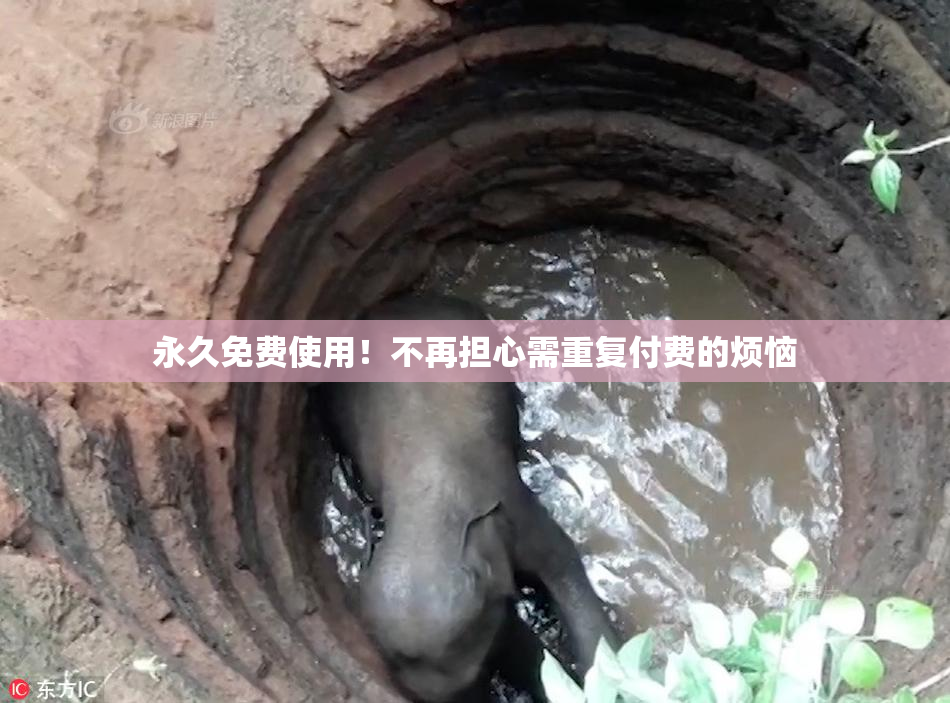 永久免费使用！不再担心需重复付费的烦恼