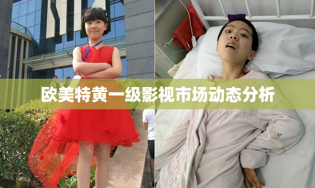 欧美特黄一级影视市场动态分析
