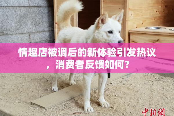 情趣店被调后的新体验引发热议，消费者反馈如何？