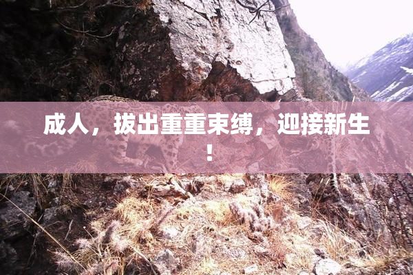成人，拔出重重束缚，迎接新生！