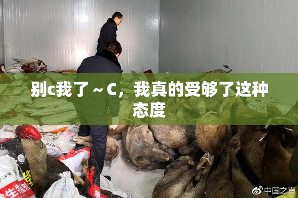 别c我了～C，我真的受够了这种态度